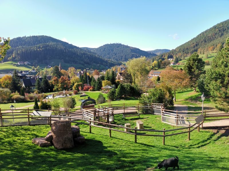 Hotel Bareiss im Schwarzwald