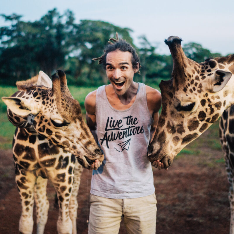 The Favourites of Louis Cole (FunForLouis)